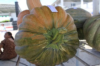 Sucesso total 4º Feira Agro Campo em São João da Serra - Imagem 98