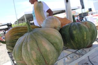 Sucesso total 4º Feira Agro Campo em São João da Serra - Imagem 97