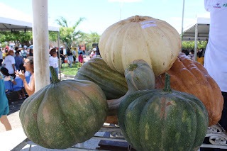 Sucesso total 4º Feira Agro Campo em São João da Serra - Imagem 106