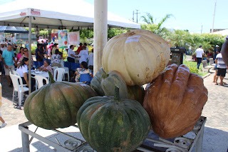 Sucesso total 4º Feira Agro Campo em São João da Serra - Imagem 107