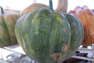 Sucesso total 4º Feira Agro Campo em São João da Serra - Imagem 94