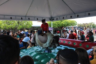 Sucesso total 4º Feira Agro Campo em São João da Serra - Imagem 53