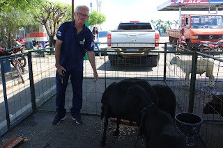 Sucesso total 4º Feira Agro Campo em São João da Serra - Imagem 155