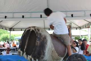 Sucesso total 4º Feira Agro Campo em São João da Serra - Imagem 8