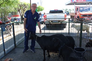 Sucesso total 4º Feira Agro Campo em São João da Serra - Imagem 156