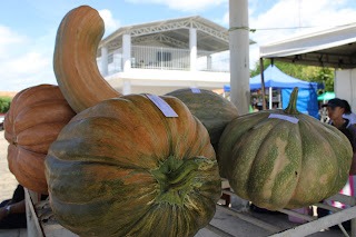 Sucesso total 4º Feira Agro Campo em São João da Serra - Imagem 100