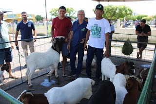 Sucesso total 4º Feira Agro Campo em São João da Serra - Imagem 143