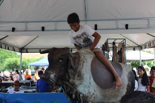 Sucesso total 4º Feira Agro Campo em São João da Serra - Imagem 7