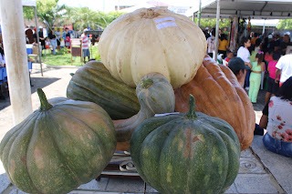 Sucesso total 4º Feira Agro Campo em São João da Serra - Imagem 111