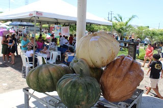Sucesso total 4º Feira Agro Campo em São João da Serra - Imagem 109