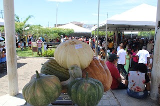 Sucesso total 4º Feira Agro Campo em São João da Serra - Imagem 112