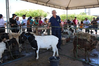 Sucesso total 4º Feira Agro Campo em São João da Serra - Imagem 137