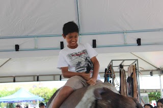Sucesso total 4º Feira Agro Campo em São João da Serra - Imagem 4