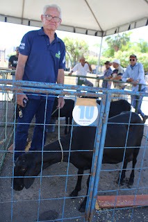 Sucesso total 4º Feira Agro Campo em São João da Serra - Imagem 158