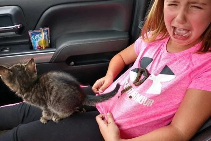 Conheça os 4 signos mais azarados do Zodíaco; melhor pegar os amuletos!