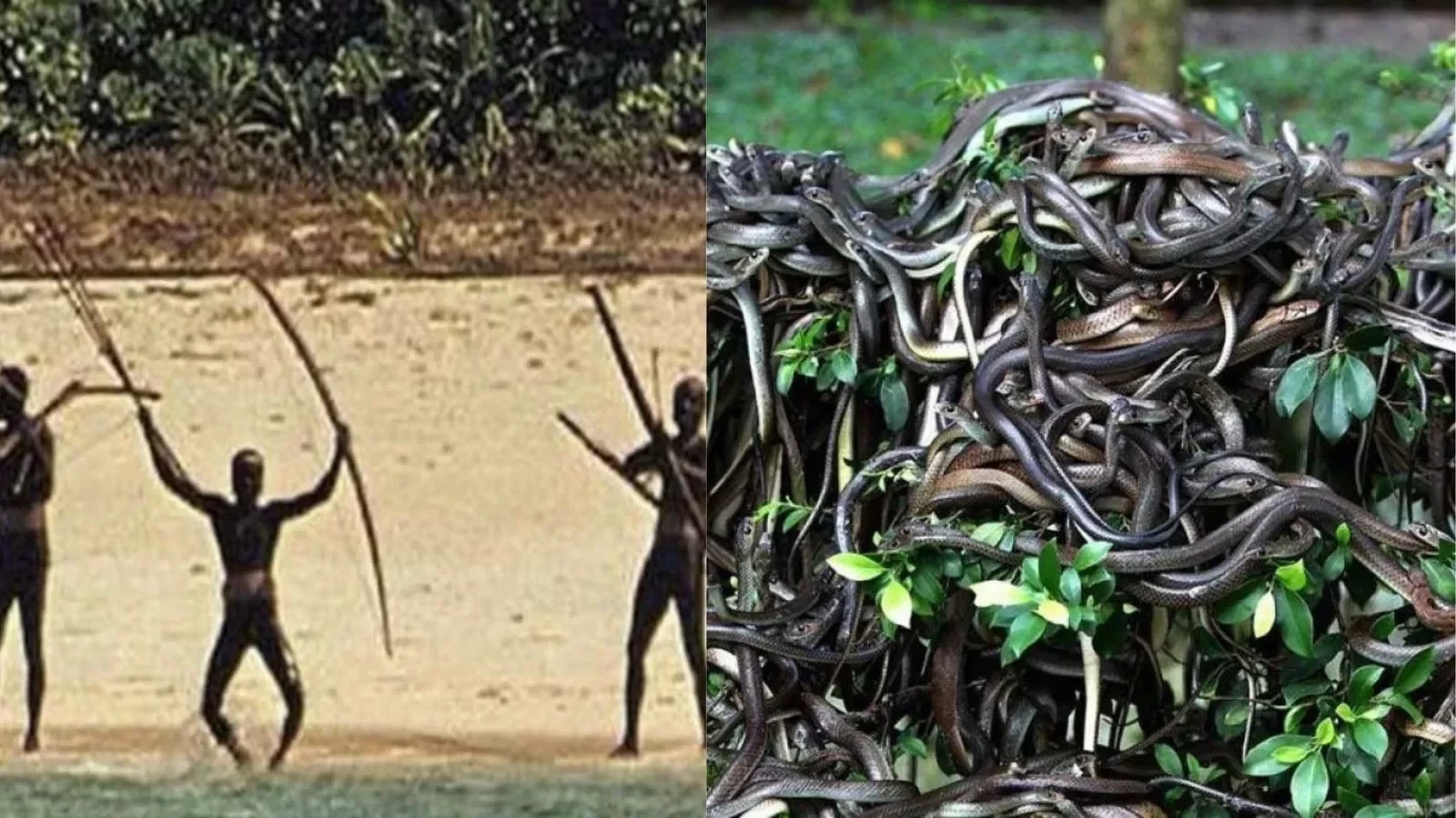 Lugares proibidos que você nunca poderá visitar; um fica no Brasil 