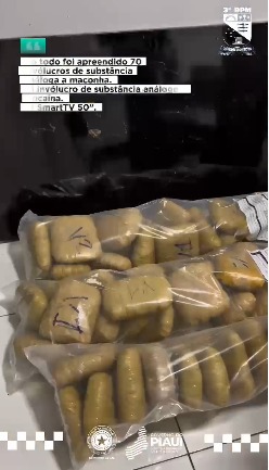 Força Tática, apreende grande quantidade de entorpecentes em Floriano - Imagem 1