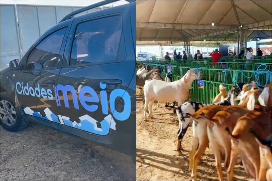 Cidades Meio na 13ª Caprinova: a força do campo em destaque em Queimada Nova