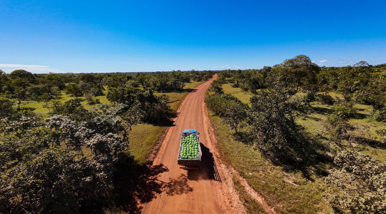 Prefeitura de José de Freitas recupera mais de 46 km de estradas na zona rural