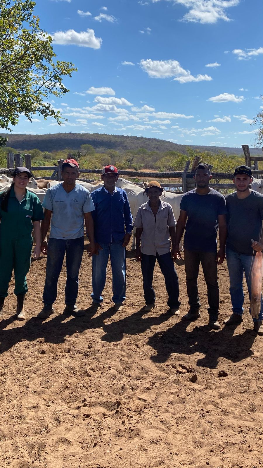 Programa Piauí Mais Genética avança com atendimentos em comunidades de Simplício Mendes - Imagem 3