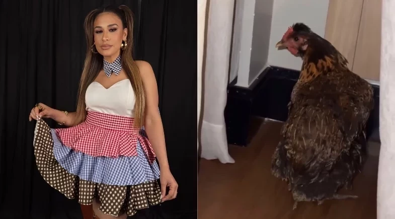 Simone Mendes leva galinha que ganhou e adotou em show para o hotel; vídeo