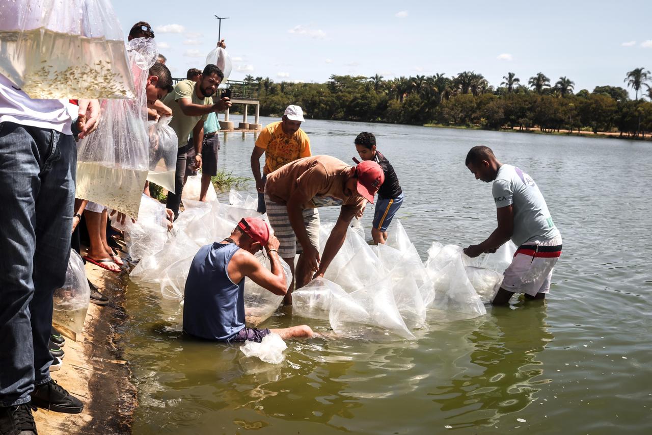 Água Branca: Prefeitura realiza distribuição de alevinos e mudas frutíferas