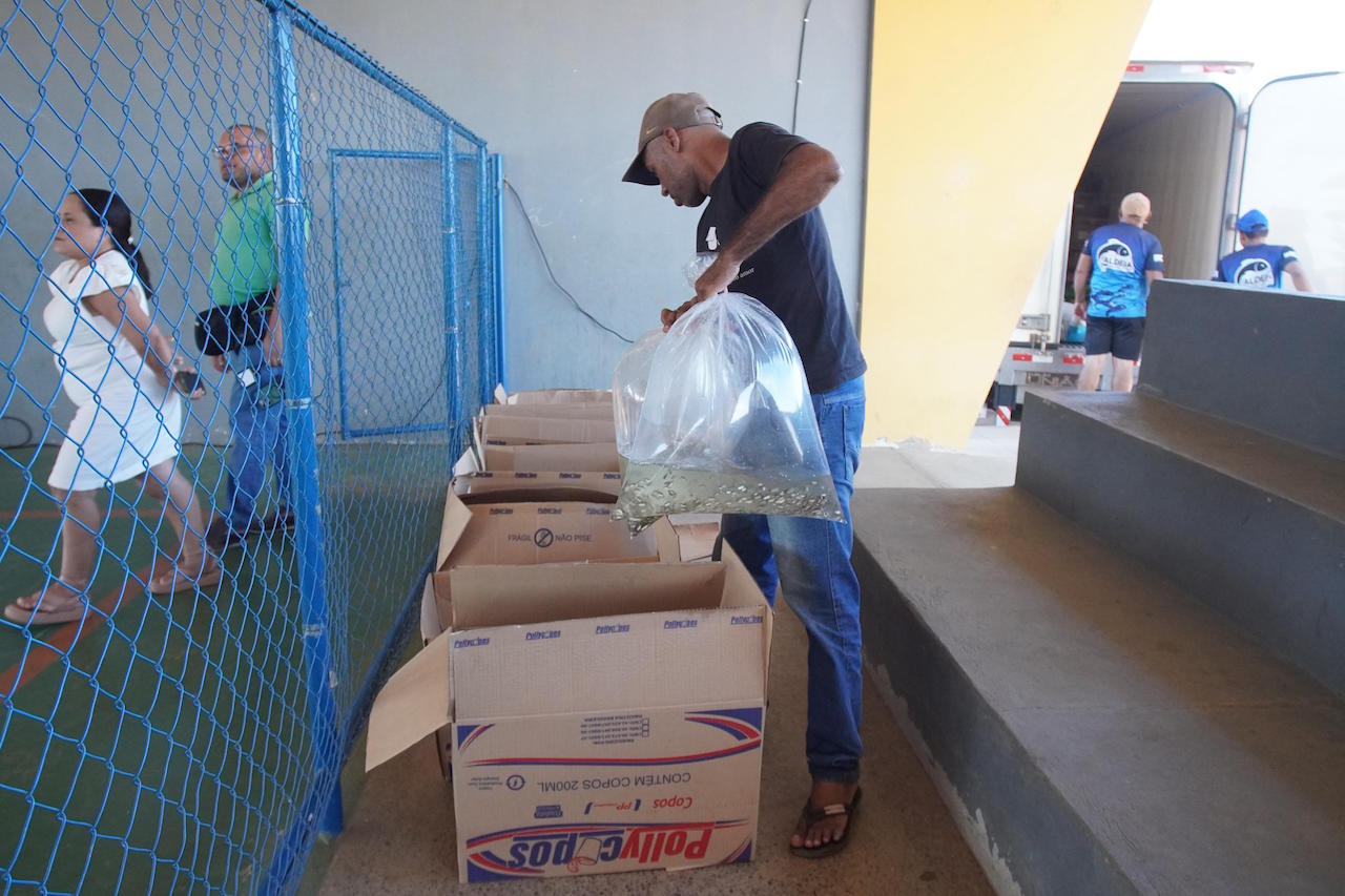 Curimatá realiza ação de preservação ambiental com soltura de peixes na barragem Algodões II - Imagem 1