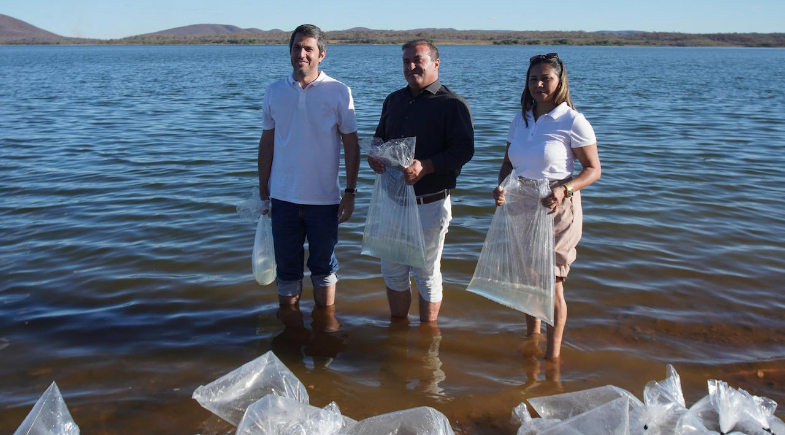 Curimatá realiza ação de preservação ambiental com soltura de peixes na barragem Algodões II