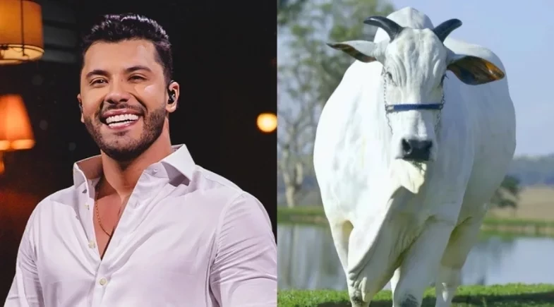 Murilo Huff compra vaca de R$ 17 milhões em meio à disputa com Dona Ruth