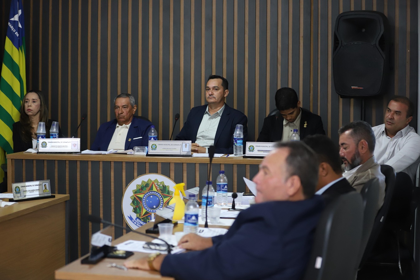 Prefeito de Curimatá participa de sessão na Câmara para discutir projetos sociais e ambientais - Imagem 1