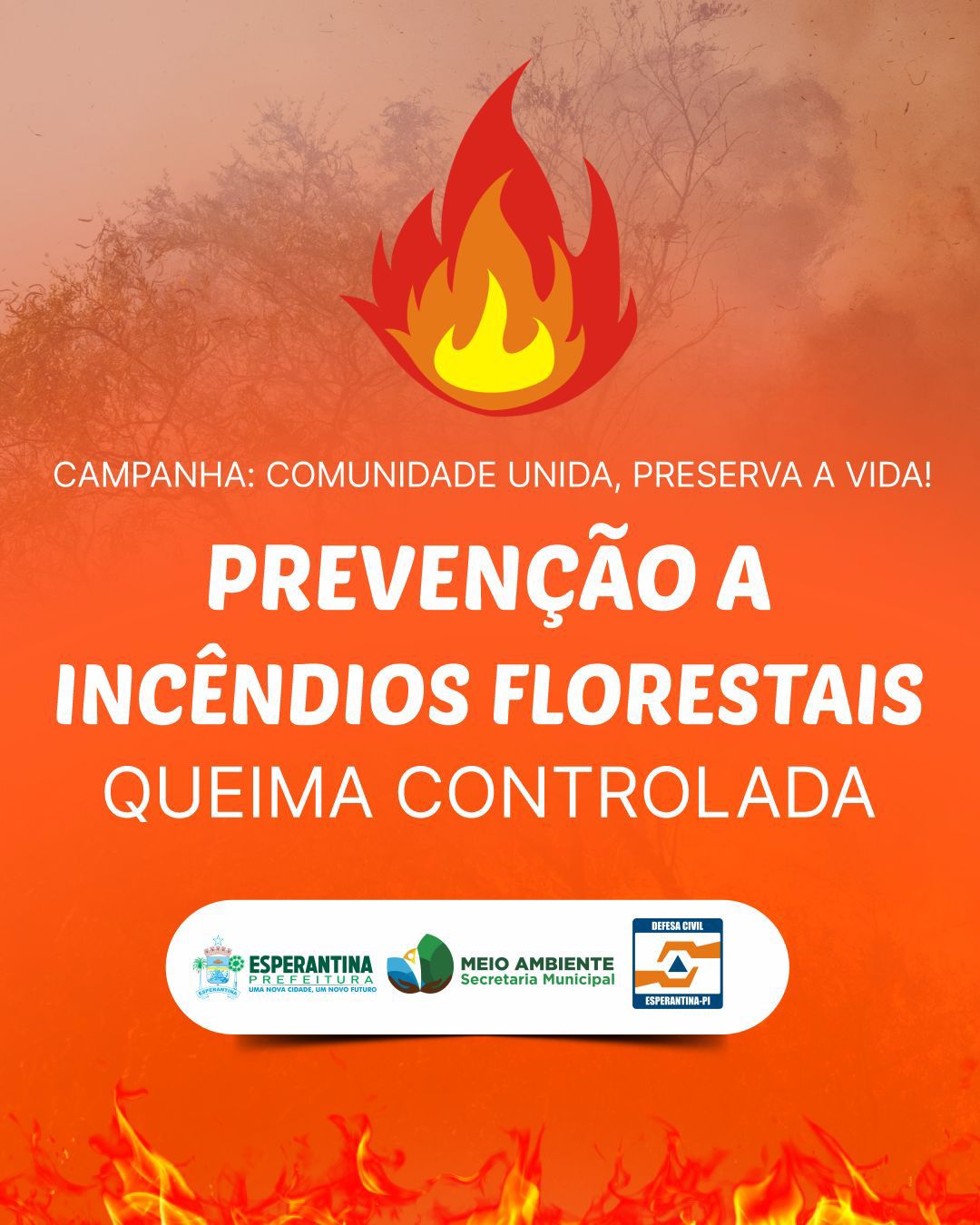 Prefeitura intensifica campanha de prevenção a incêndios florestais em Esperantina - Imagem 3