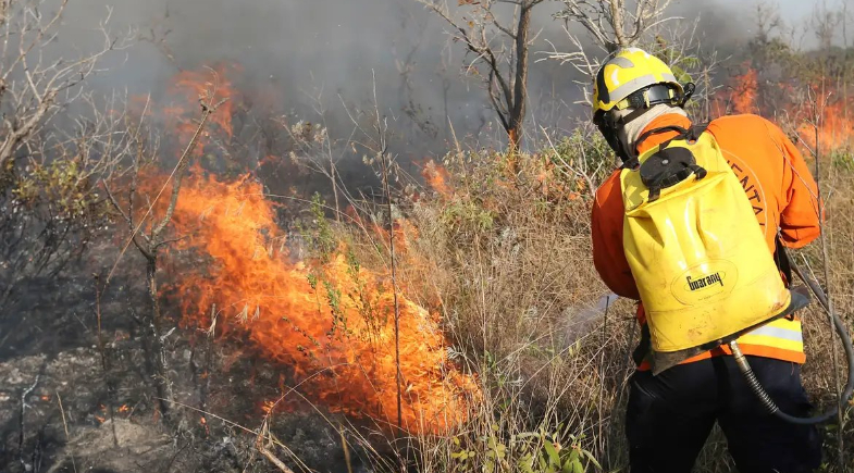 Prefeitura intensifica campanha de prevenção a incêndios florestais em Esperantina