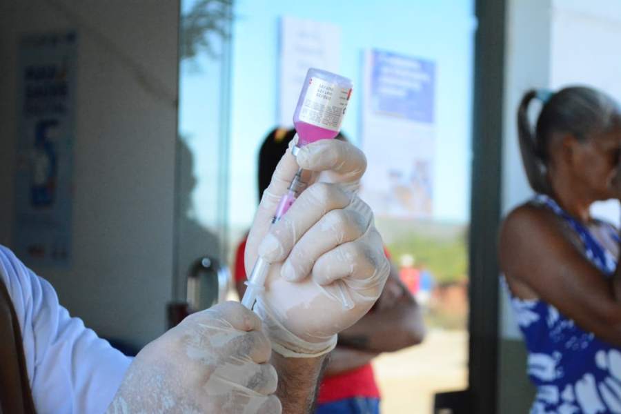 Curimatá em Ação: Município realiza Dia D Campanha de vacinação Antirrábica