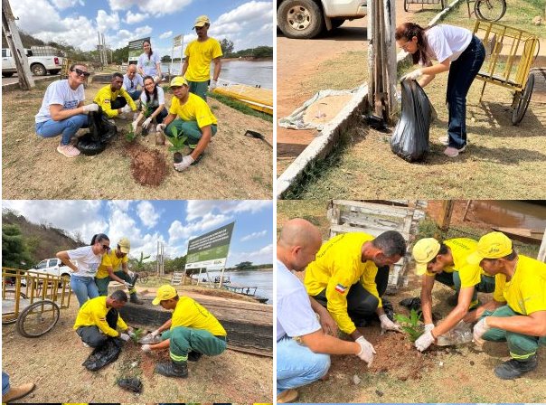 Secretaria de Meio Ambiente promove ação de limpeza e realiza plantio às margens do Rio Parnaíba - Imagem 1