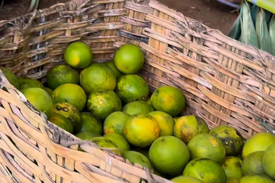 União promove Feira do Marajá - Imagem 2