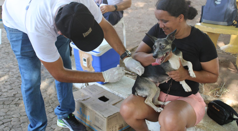 Prefeitura realiza campanha de vacinação antirrábica animal em Francinópolis