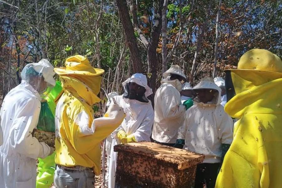 A Prefeitura de Marcos Parente promove Quintal Produtivo Agroecológico  - Imagem 2