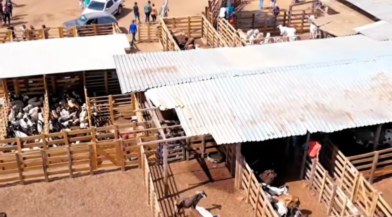 Prefeitura de Simplício Mendes promove mais uma edição da Feira de Animais