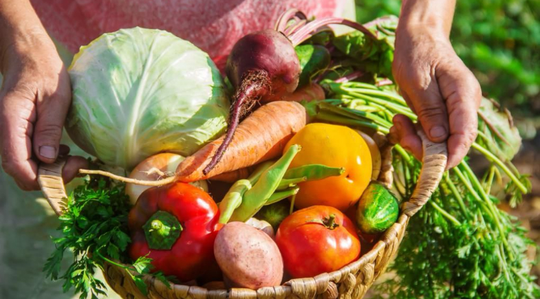 Prefeitura de Esperantina realiza reunião da Agricultura Familiar para o PNAE 2026