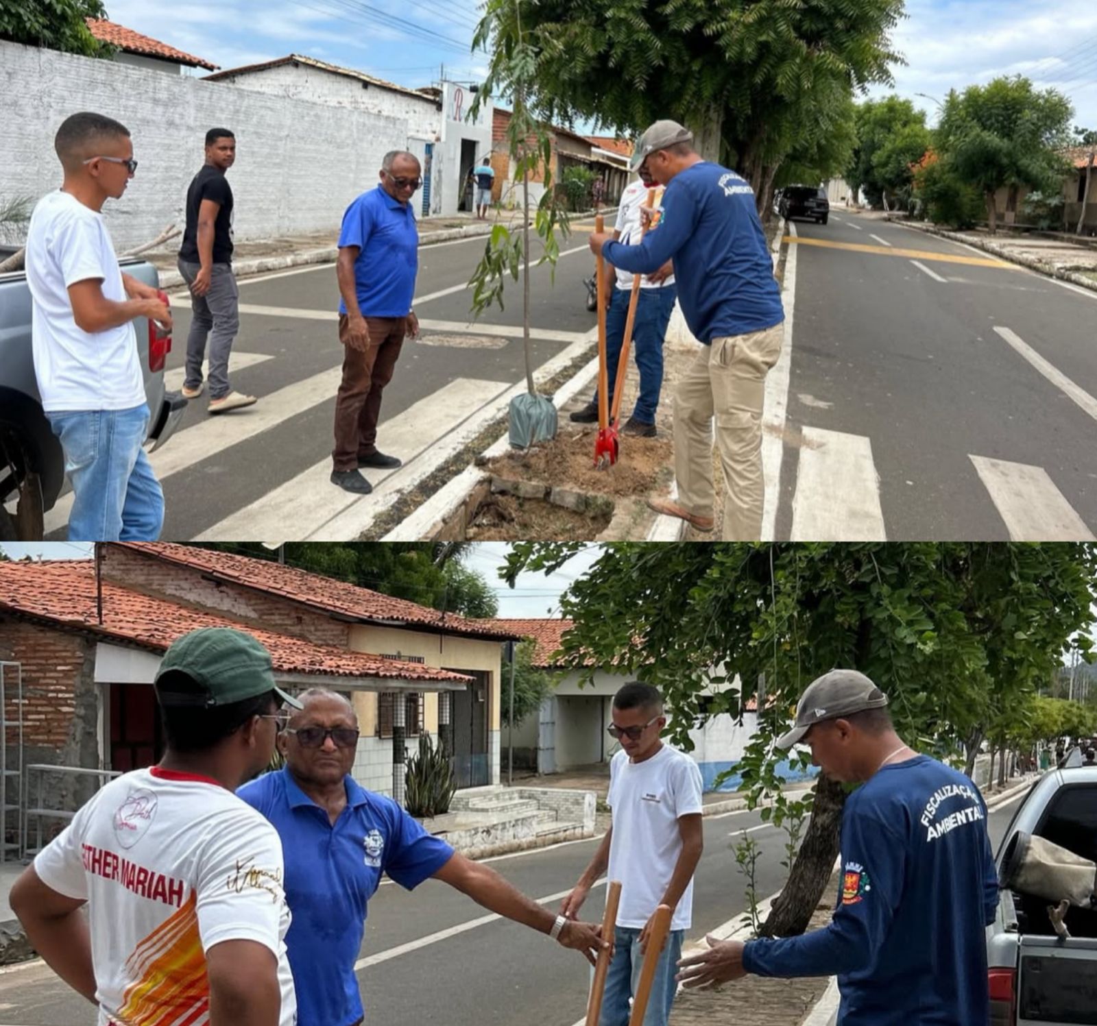 Prefeitura de Arraial realiza ações de arborização no centro da cidade - Imagem 1