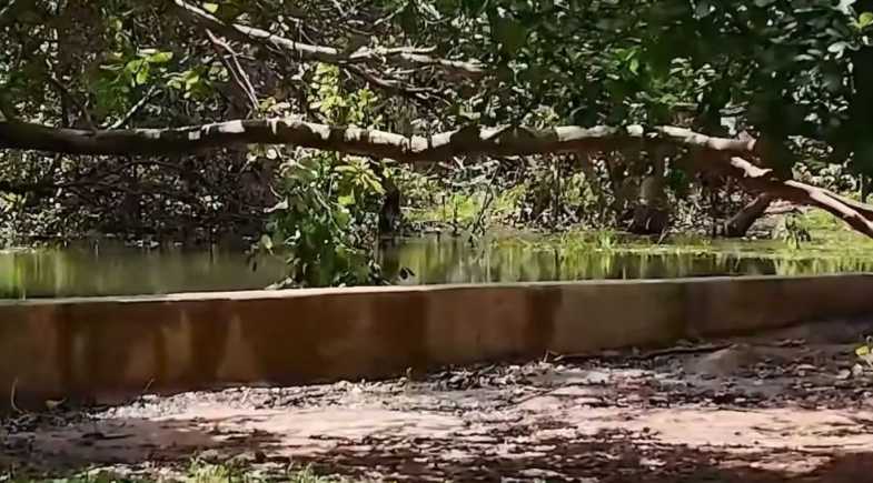 Prefeitura de Valença conclui primeira etapa de revitalização do Rio Caatinguinha