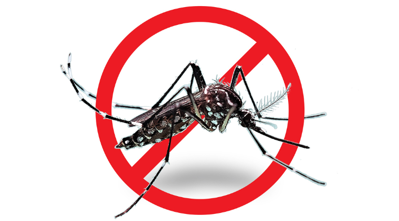 Prefeitura de Francinópolis promove campanha de alerta para a população sobre doenças virais