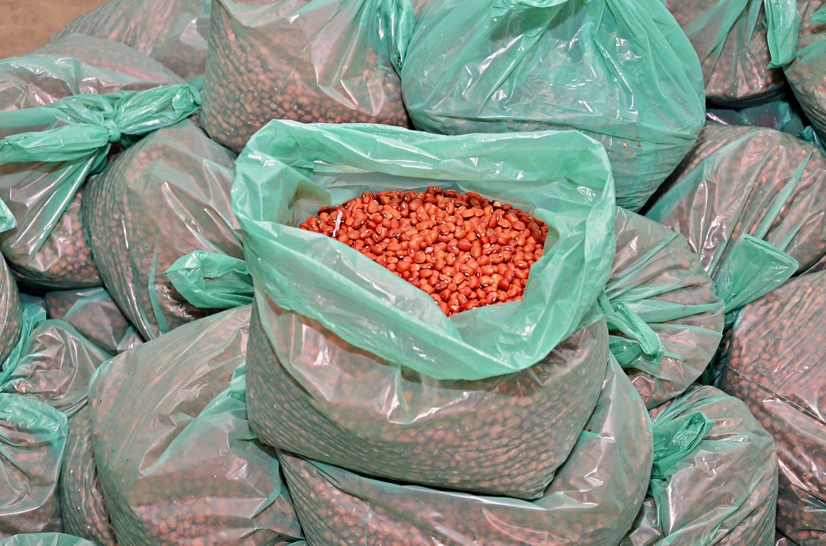 Ação da gestão municipal garante insumos para o início do período de plantio  (Foto: Divulgação/ Prefeitura de Santo Antônio de Lisboa)