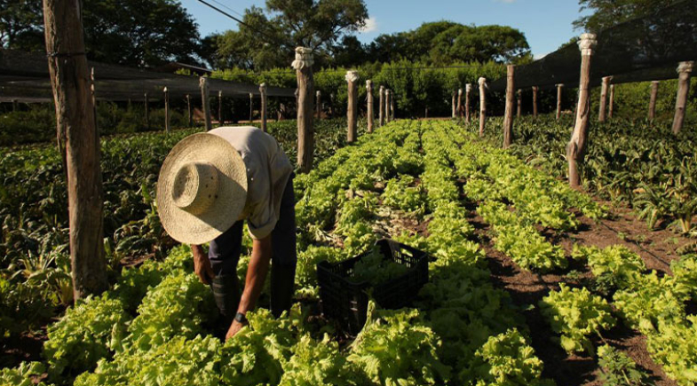 Prefeitura de Regeneração divulga lista de documentos para regularização do CAF