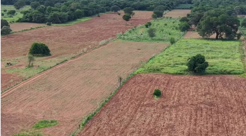 Parnaguá realiza serviços de aração para fortalecer a agricultura familiar