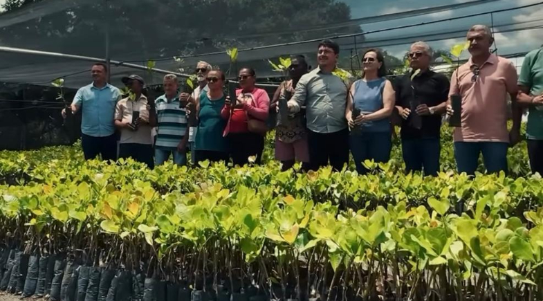 Prefeitura de Ipiranga do Piauí promove entrega de mudas de cajueiro e manivas de mandioca