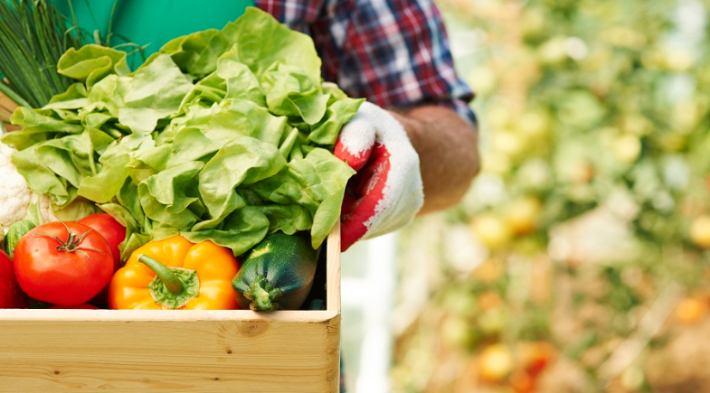 Prefeitura de Castelo do Piauí abre Chamada Pública do PNAE 2026 para a Agricultura Familiar