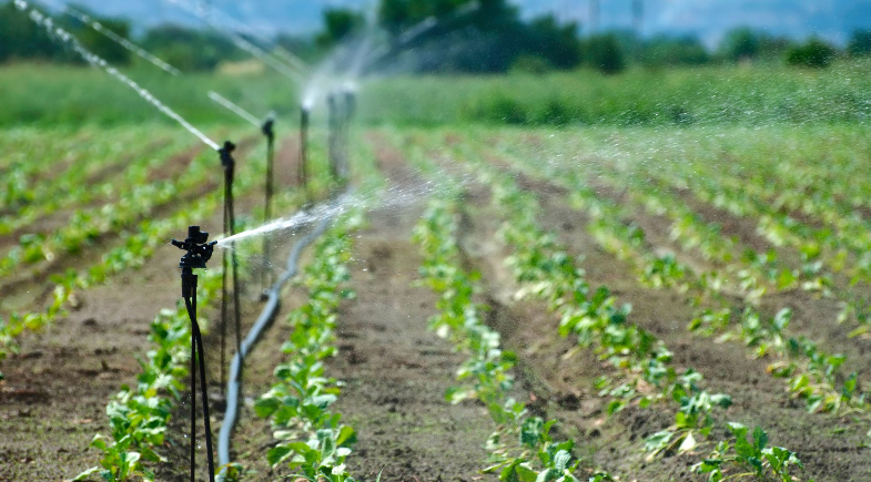 Prefeitura de Alegrete do Piauí inicia entrega dos boletos do Garantia Safra 2025/2026