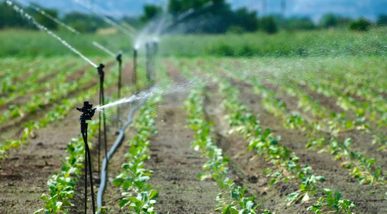 Prefeitura de Regeneração inicia entrega de boletos do Garantia Safra 2025-2026