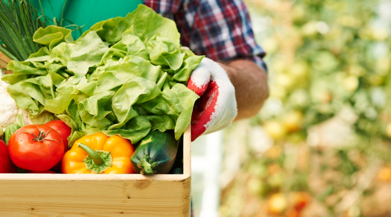 Prefeitura de São João do Piauí promove chamamento público para agricultura familiar